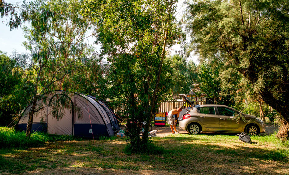 Emplacements nus spacieux et arborés d'une surface de 80m² pour tentes et camping-car