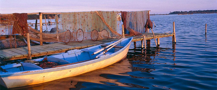 Barque sur l'étang d'Urbinu en Corse près du camping Arinella Bianca