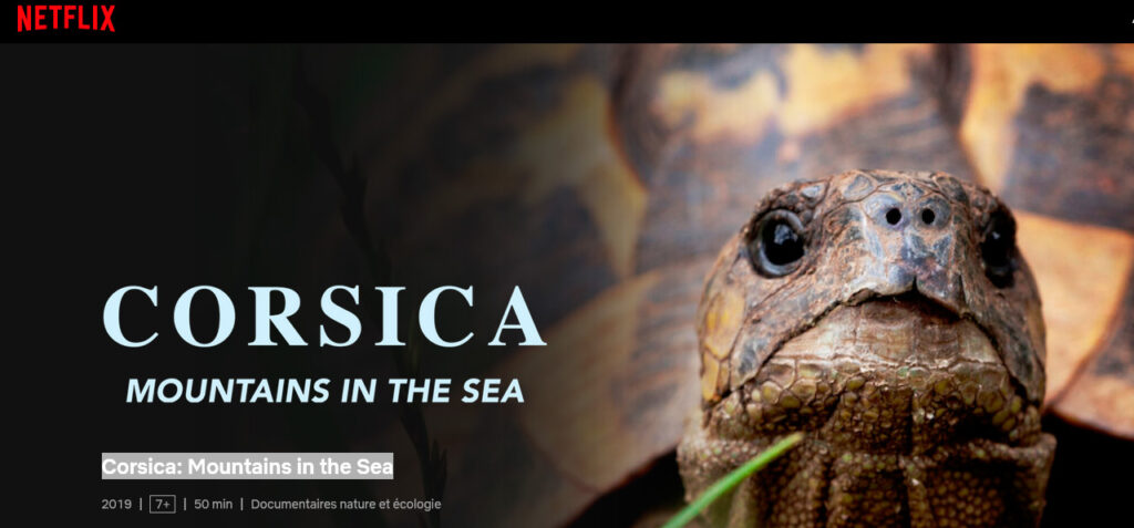 Screenshot of the poster for the documentary Corsica Mountains in the Sea available on Netflix