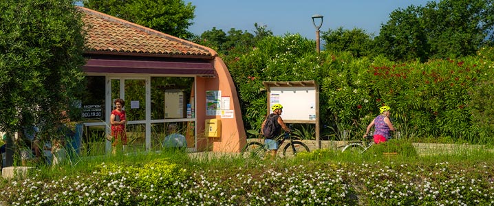 Vélos en famille sur le chemin devant la réception du camping Arinella Bianca